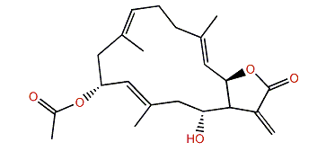 Michaolide P